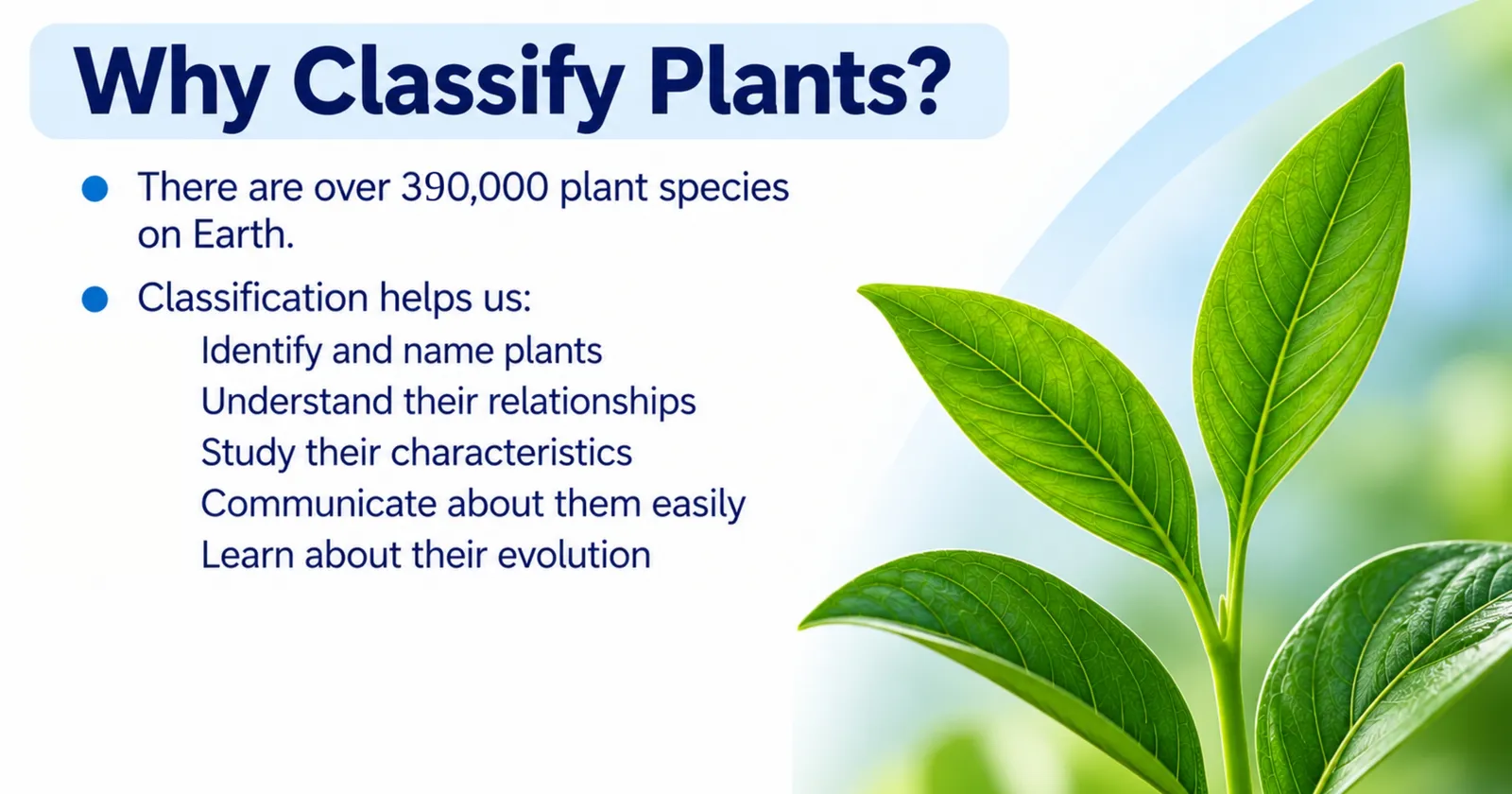 Why classify plants: there are over 390,000 plant species; to identify and name plants, understand their relationships, study their characteristics and communicate about them