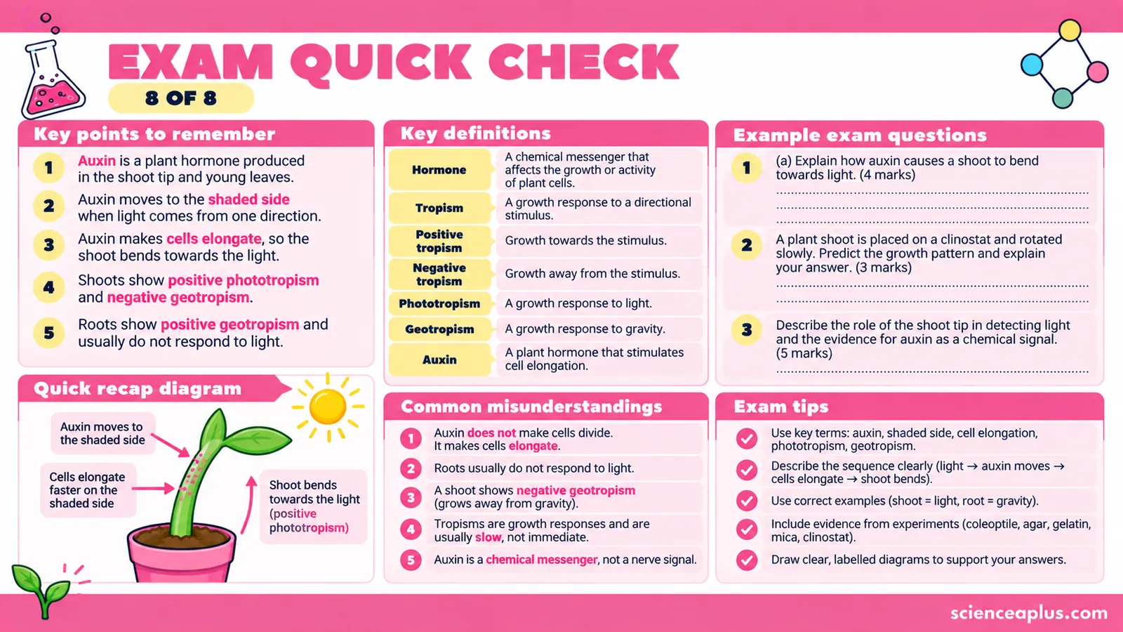 Exam quick check for plant tropisms: key points, key definitions, common misconceptions and exam tips