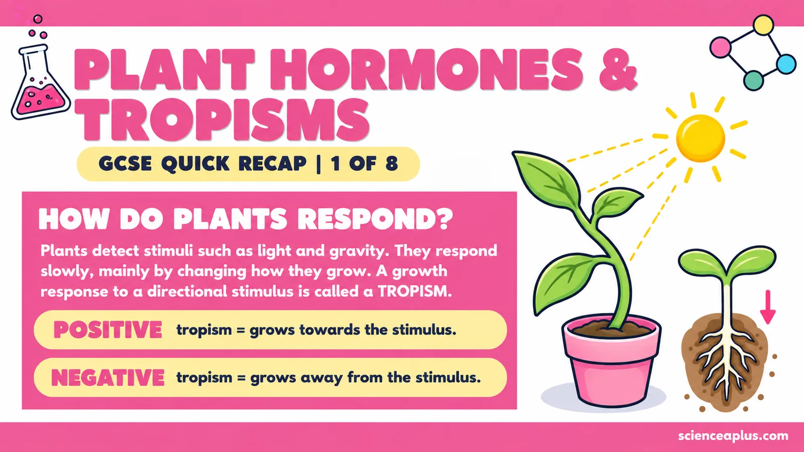 Plant hormones and tropisms recap: plants detect stimuli such as light and gravity and respond by changing how they grow