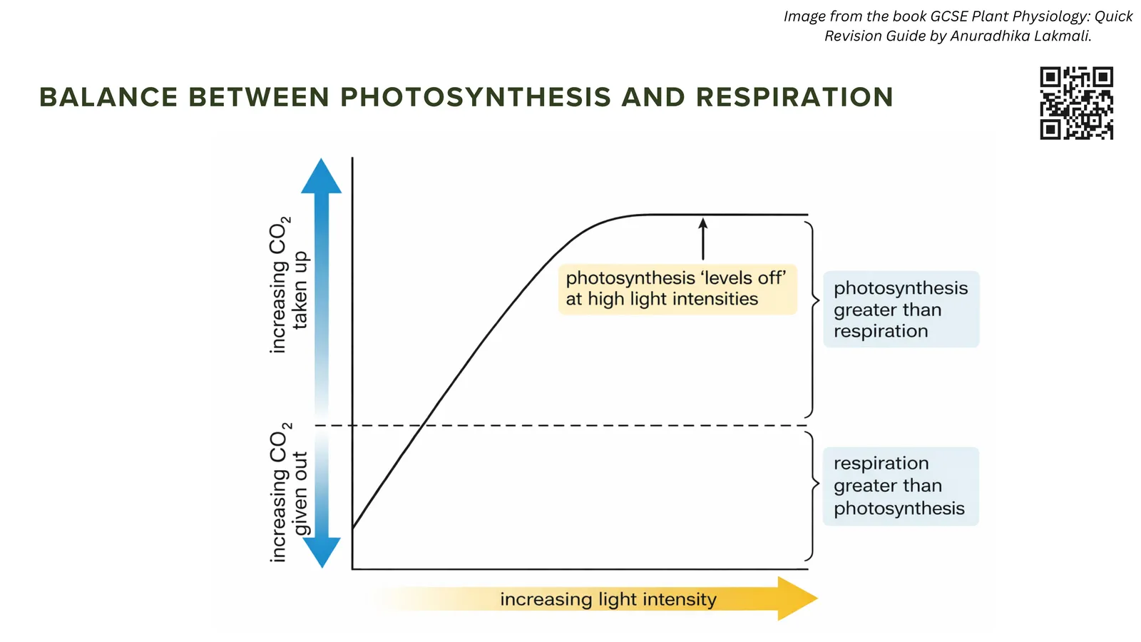 Graph of the balance between photosynthesis and respiration: at low light respiration is greater, and as light intensity rises photosynthesis becomes greater and then levels off