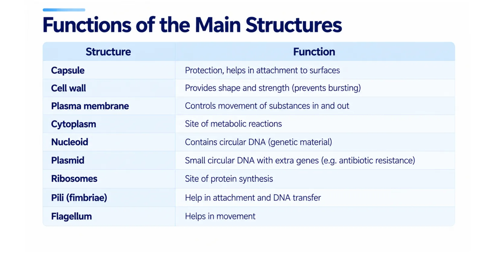 Table of prokaryotic cell structures and their functions, from capsule and cell wall to pili and flagellum