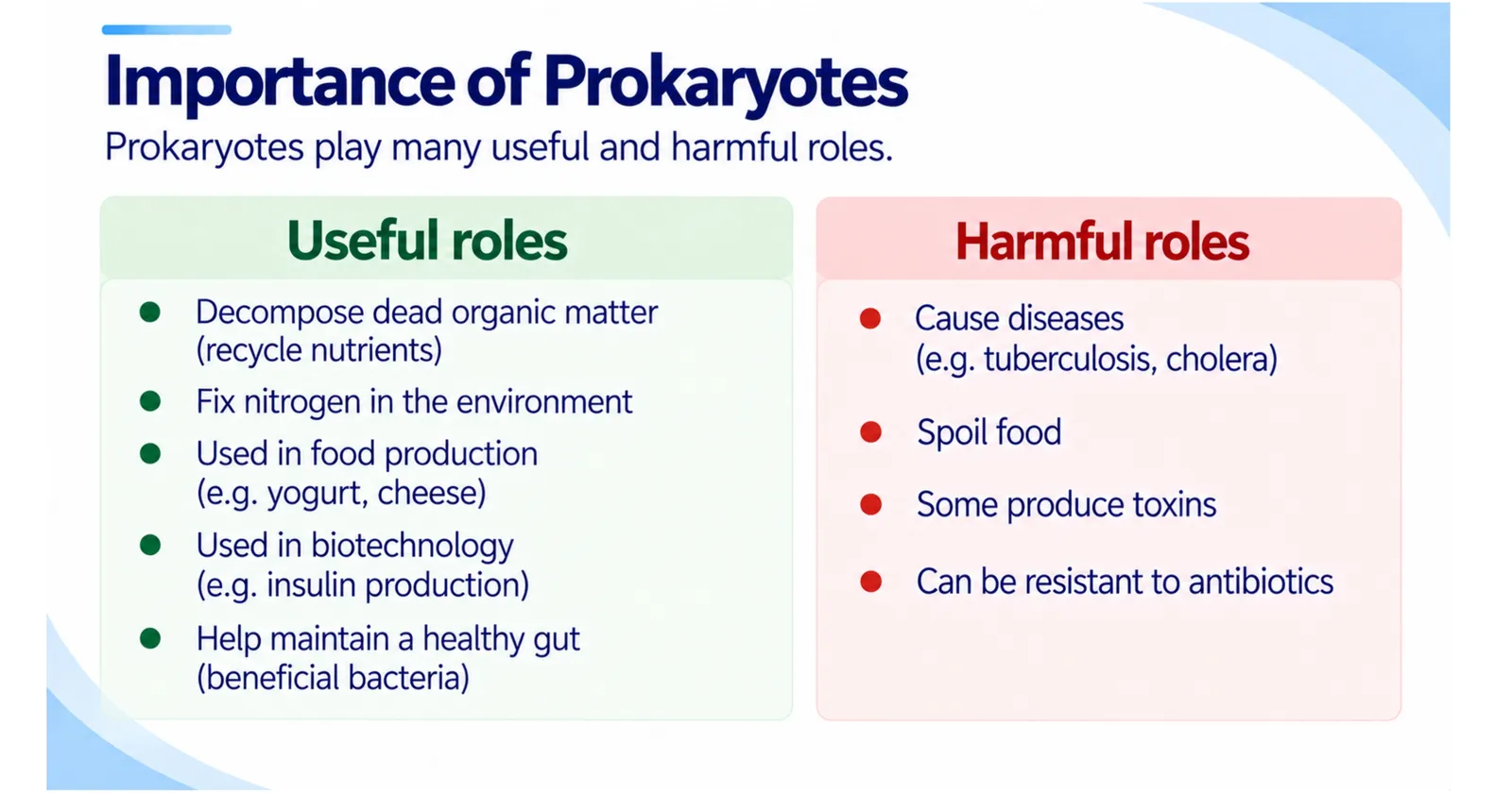 Importance of prokaryotes: useful roles such as recycling nutrients and fixing nitrogen, and harmful roles such as causing disease and spoiling food