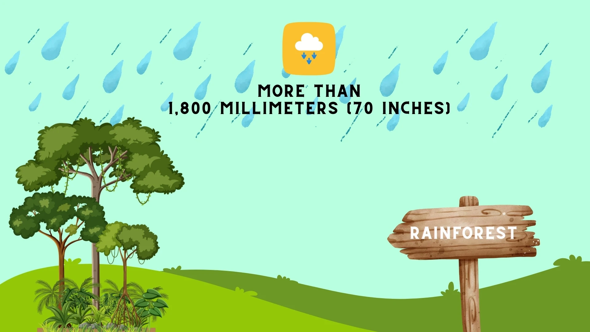 Rainfall in Rainforests