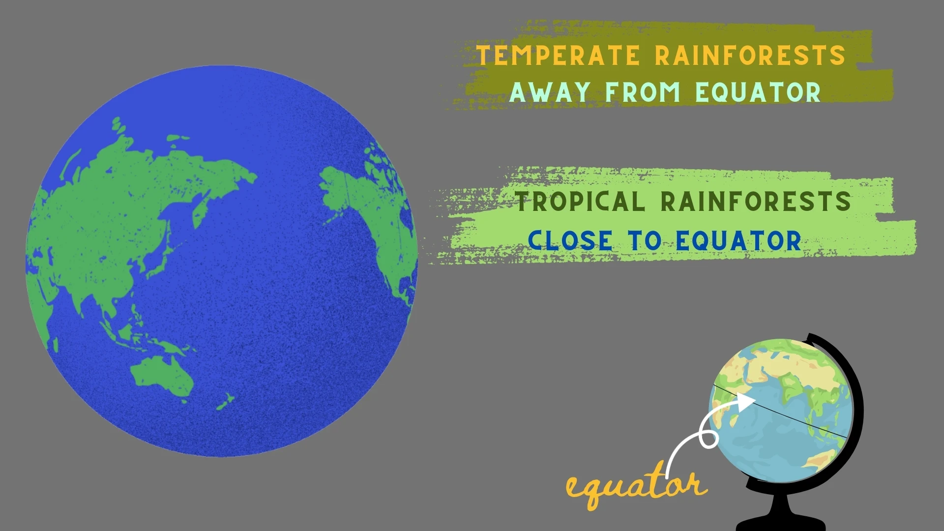 Tropical vs Temperate Rainforests