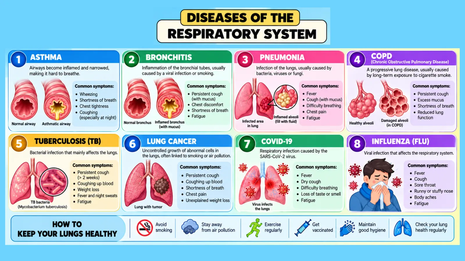 Diseases of the respiratory system: asthma, bronchitis, pneumonia, COPD, tuberculosis, lung cancer, COVID-19 and influenza with their symptoms