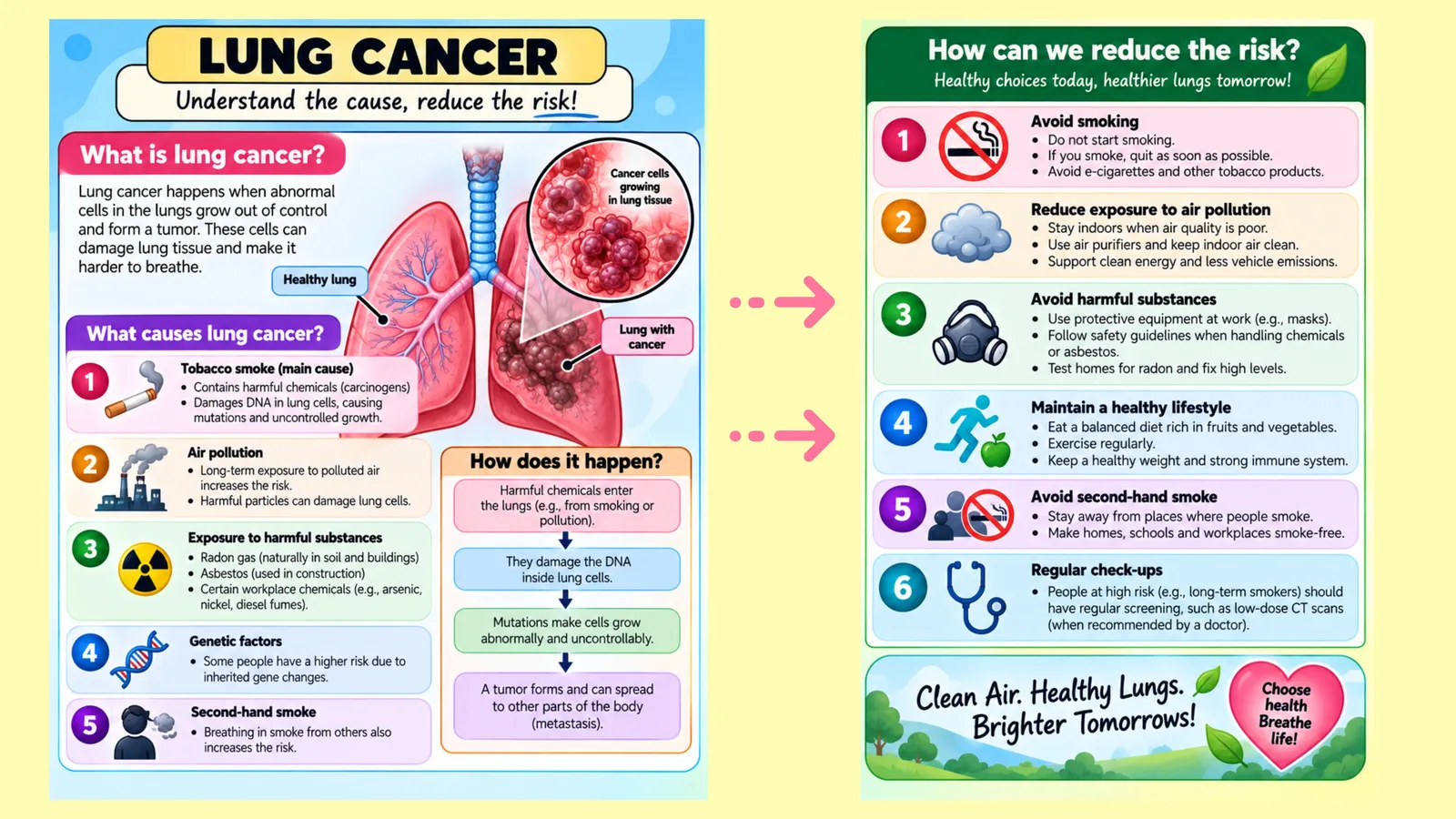 Lung cancer explained: what it is, causes such as smoking and air pollution, and ways to reduce the risk
