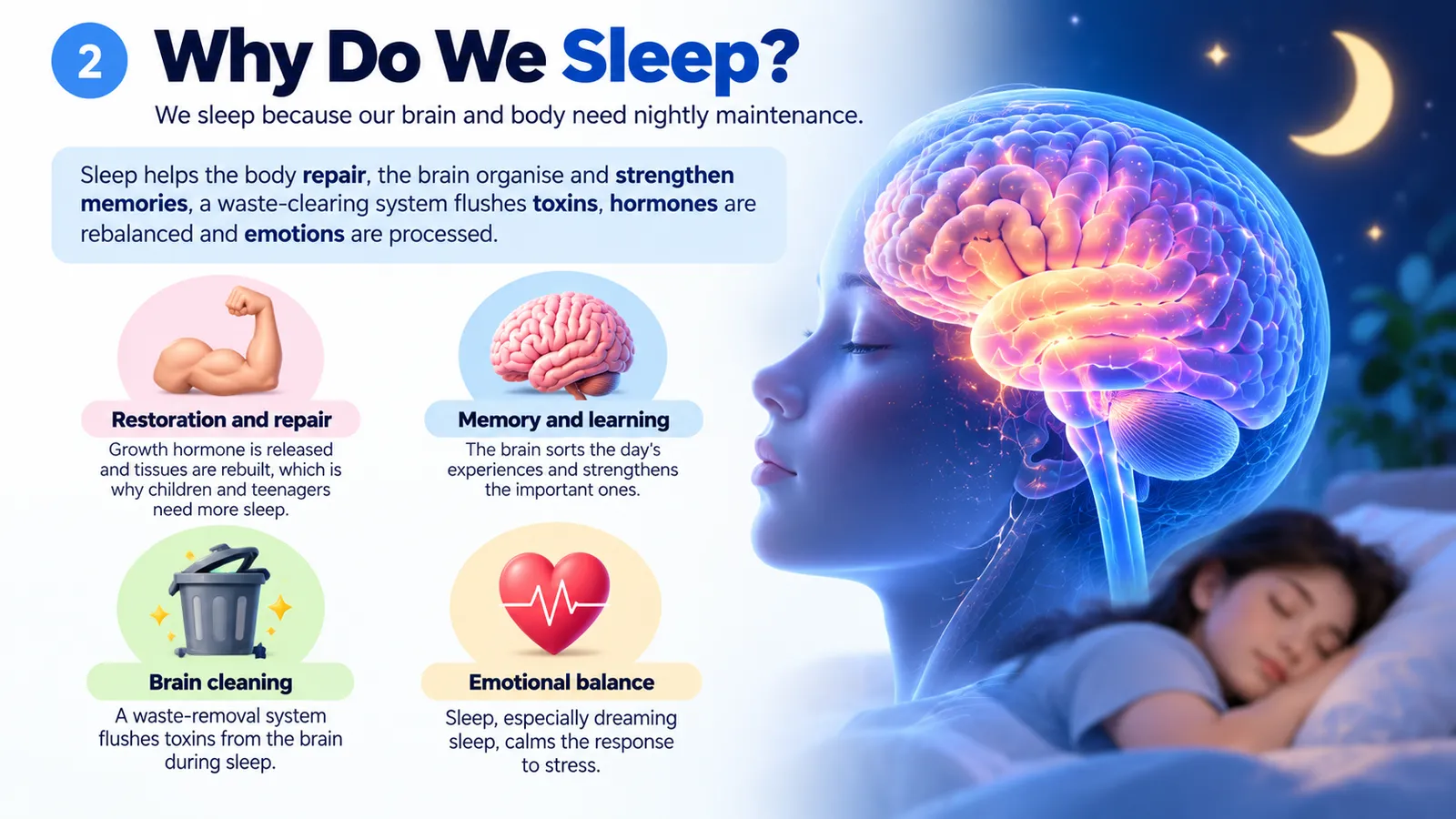 Why do we sleep: four functions of sleep, restoration and repair, memory and learning, brain cleaning and emotional balance