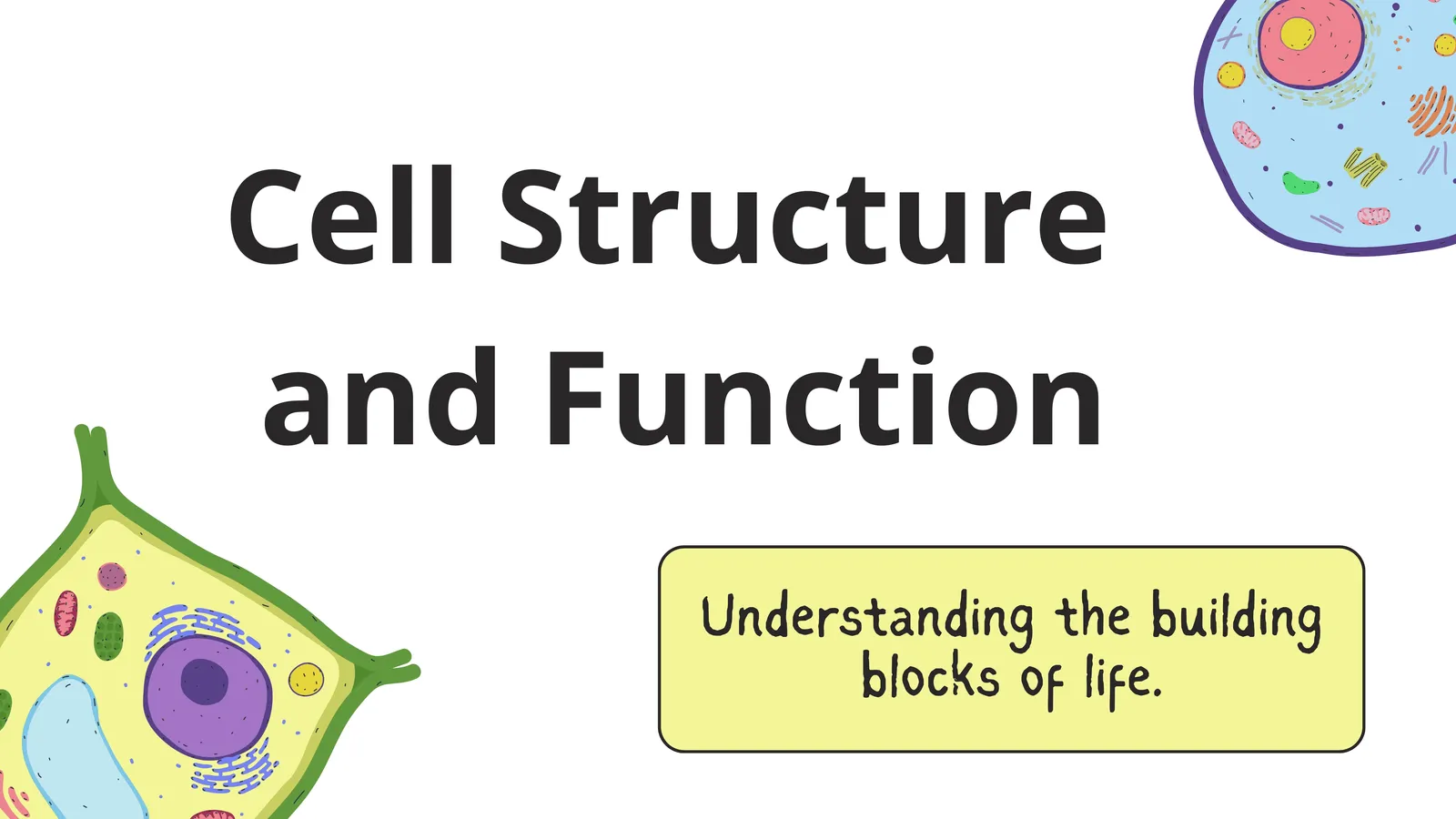 Cell Structure and Function: understanding the building blocks of life