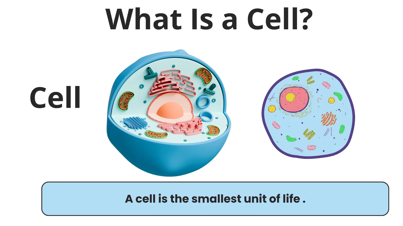 What is a cell: a cell is the smallest unit of life