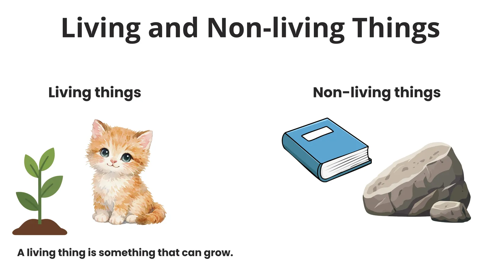 Living things such as a plant and a kitten can grow; non-living things such as a book and a rock cannot