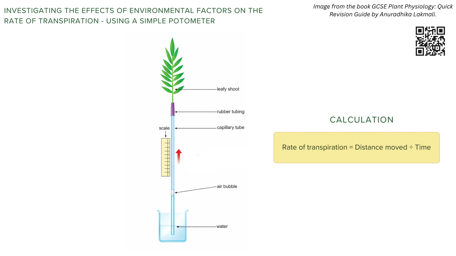 Investigating environmental factors with a simple potometer: an air bubble moves up the capillary tube against a scale, and rate of transpiration equals distance moved divided by time
