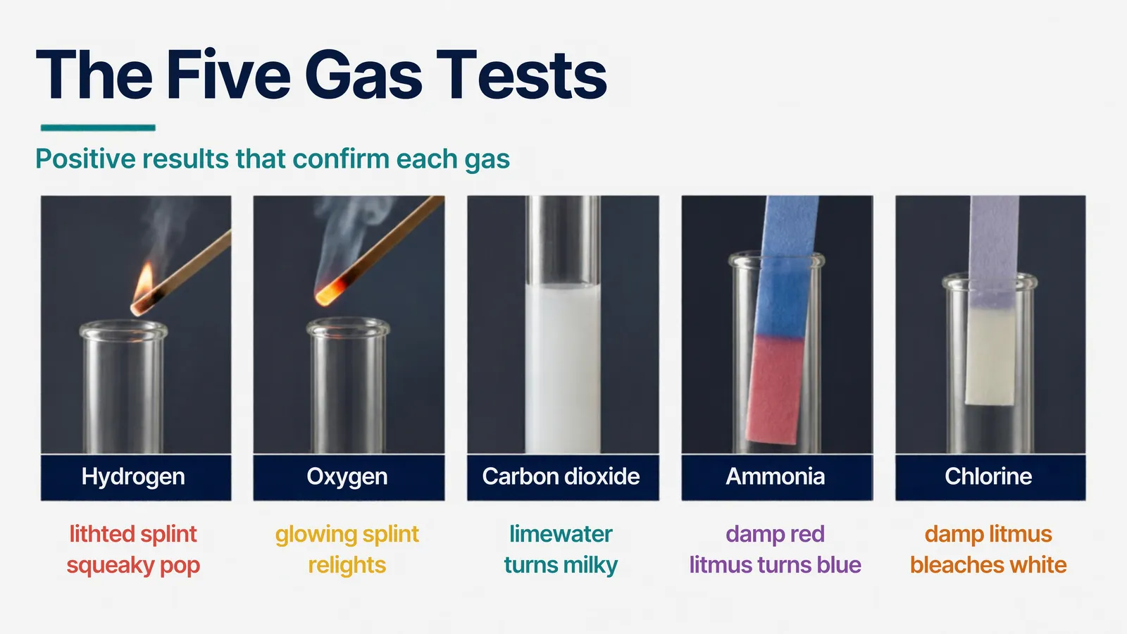 The five gas tests: hydrogen gives a squeaky pop with a lighted splint, oxygen relights a glowing splint, carbon dioxide turns limewater milky, ammonia turns damp red litmus blue and chlorine bleaches damp litmus white