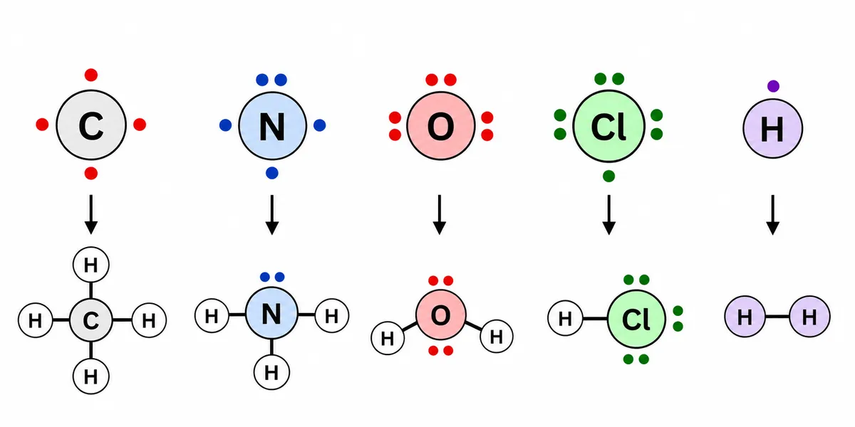 Carbon, nitrogen, oxygen, chlorine and hydrogen atoms with their outer electrons, and the molecules CH4, NH3, H2O, HCl and H2 showing bonds and lone pairs
