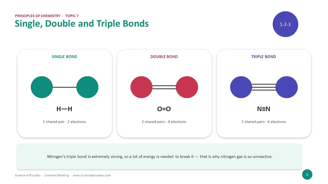 Single, double and triple bonds: H-H has one shared pair, O=O two and N≡N three, which makes nitrogen very unreactive