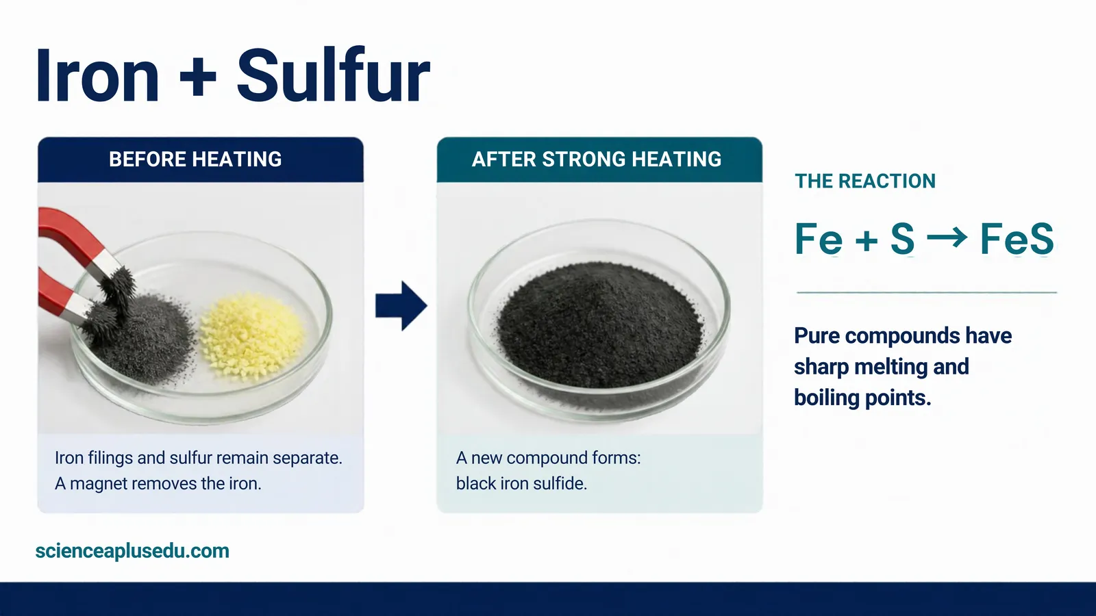 Iron filings and sulfur before heating can be separated by a magnet; after strong heating a black compound, iron sulfide, forms: Fe + S gives FeS