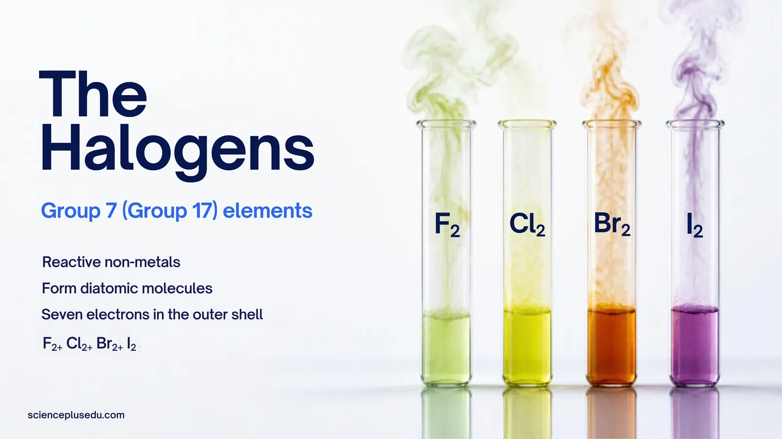 The Halogens: Group 7 non-metals with seven outer electrons that form F2, Cl2, Br2 and I2 molecules