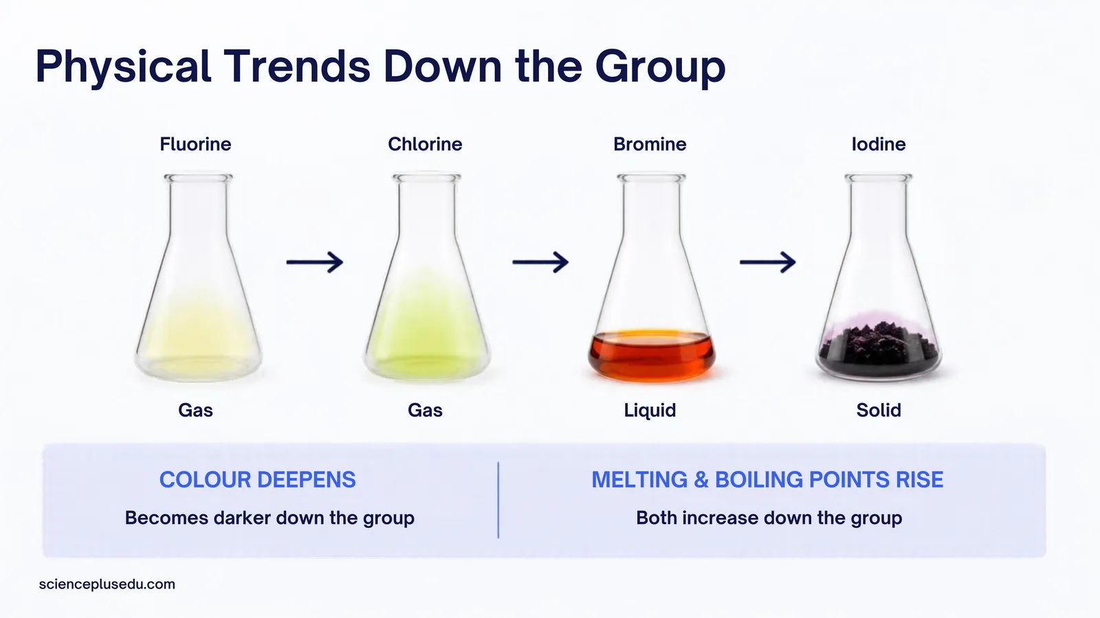 Physical trends down Group 7: colour deepens from fluorine to iodine while melting and boiling points rise