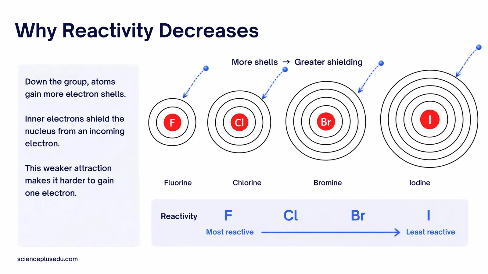 Why reactivity decreases down Group 7: more electron shells and greater shielding make it harder to gain an electron