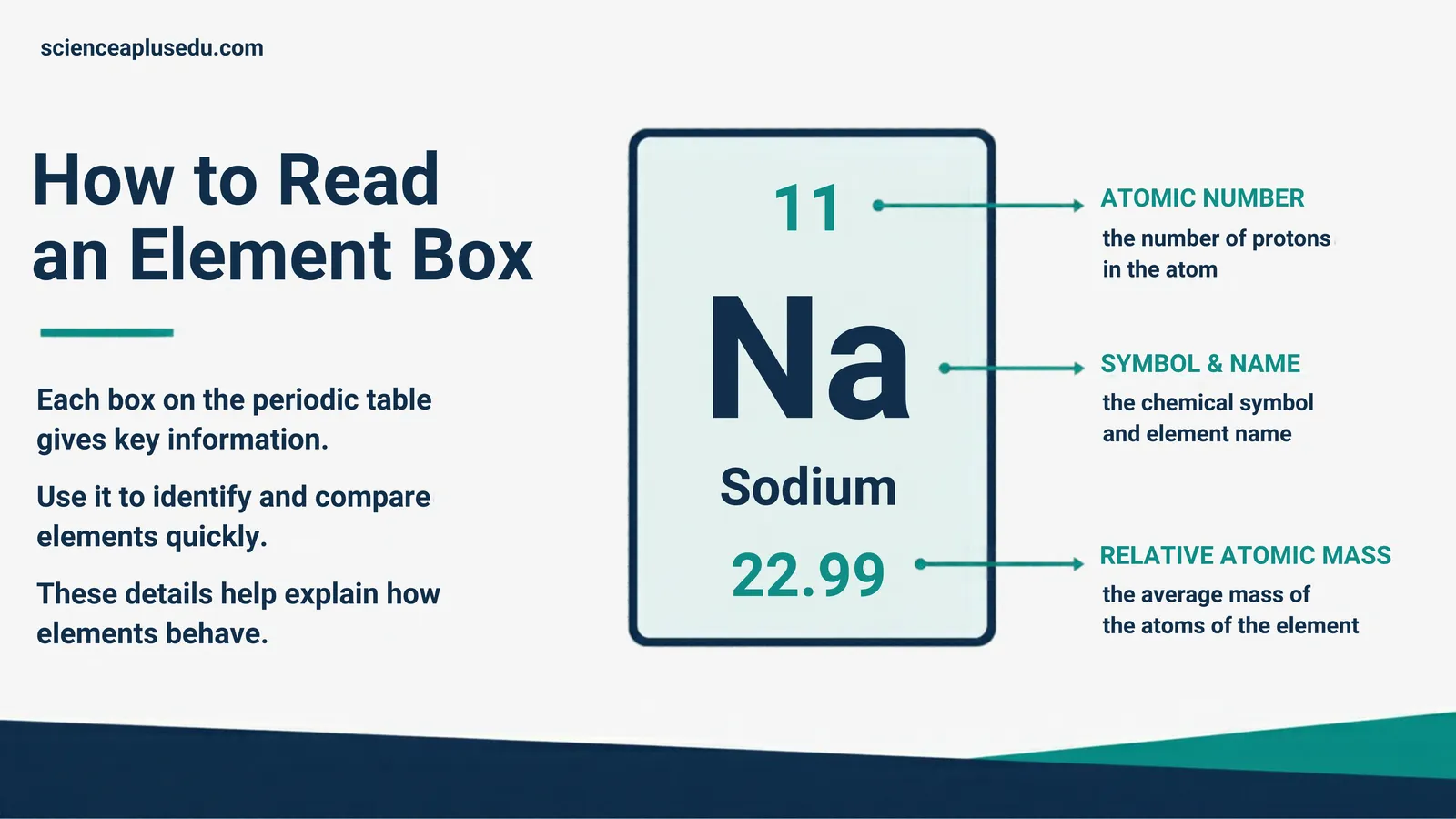 How to read an element box: atomic number, symbol and name, and relative atomic mass, using sodium as the example