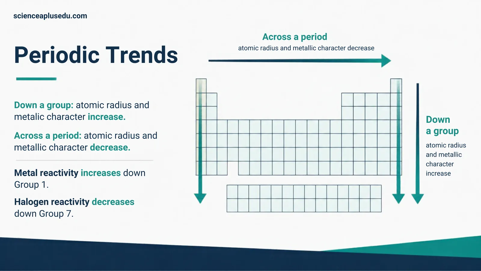 Periodic trends: down a group atomic radius and metallic character increase; across a period they decrease; metal reactivity increases and halogen reactivity decreases down a group