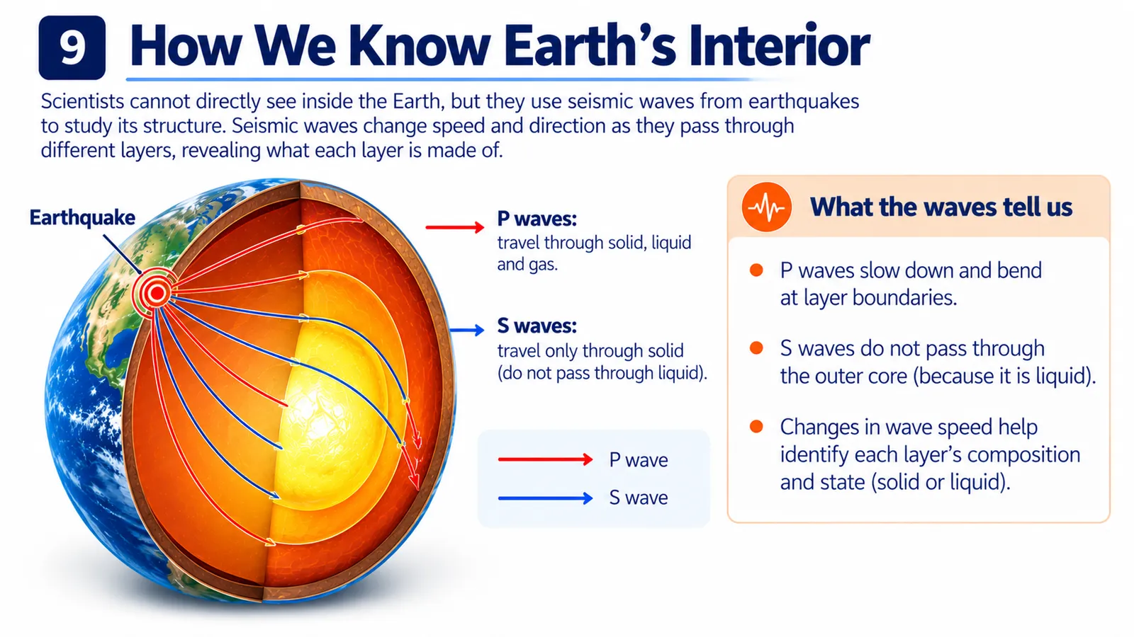 How seismic waves reveal Earth's interior: P waves travel through solids and liquids, while S waves cannot pass through the liquid outer core