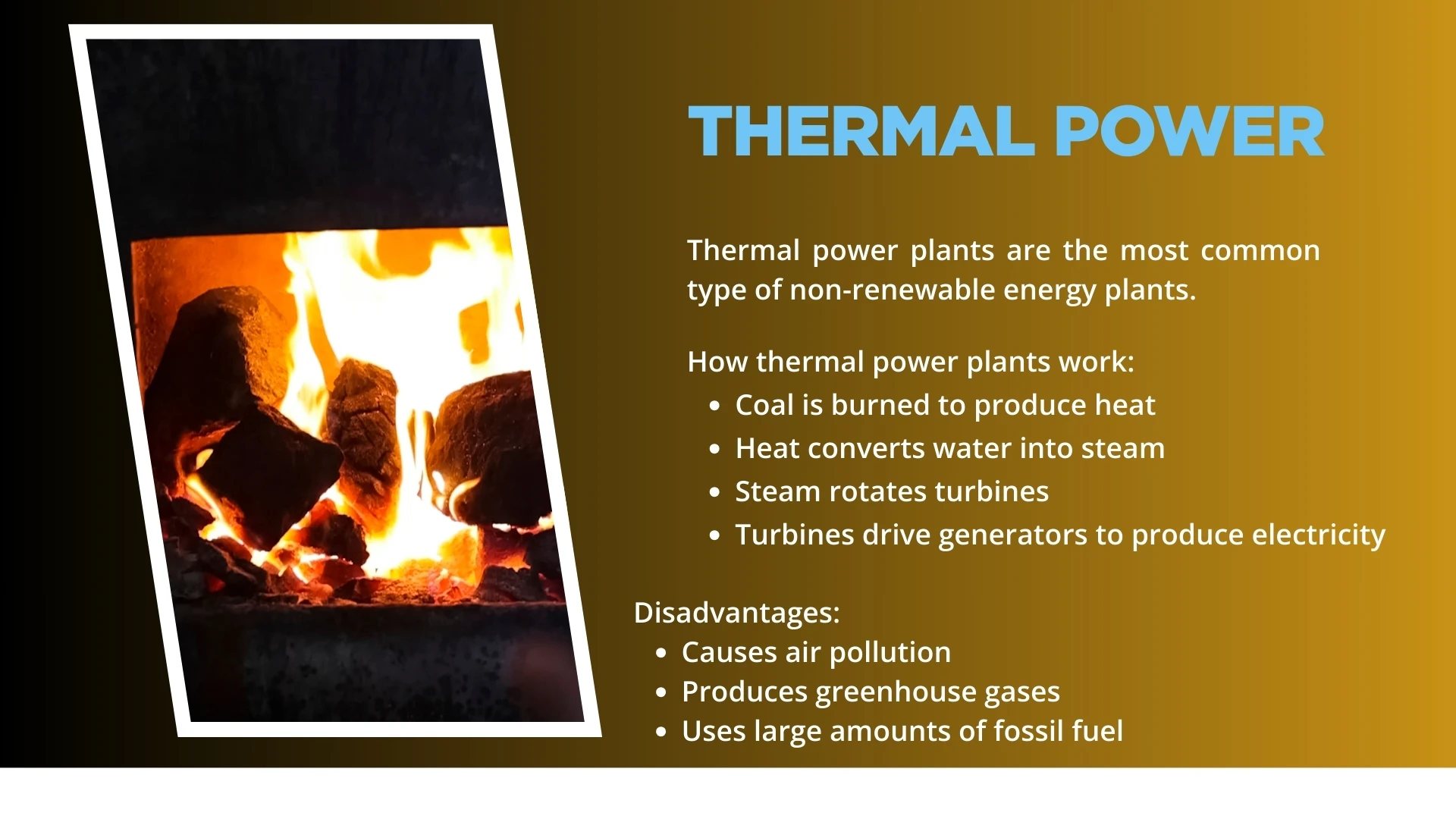 Thermal Power Plants