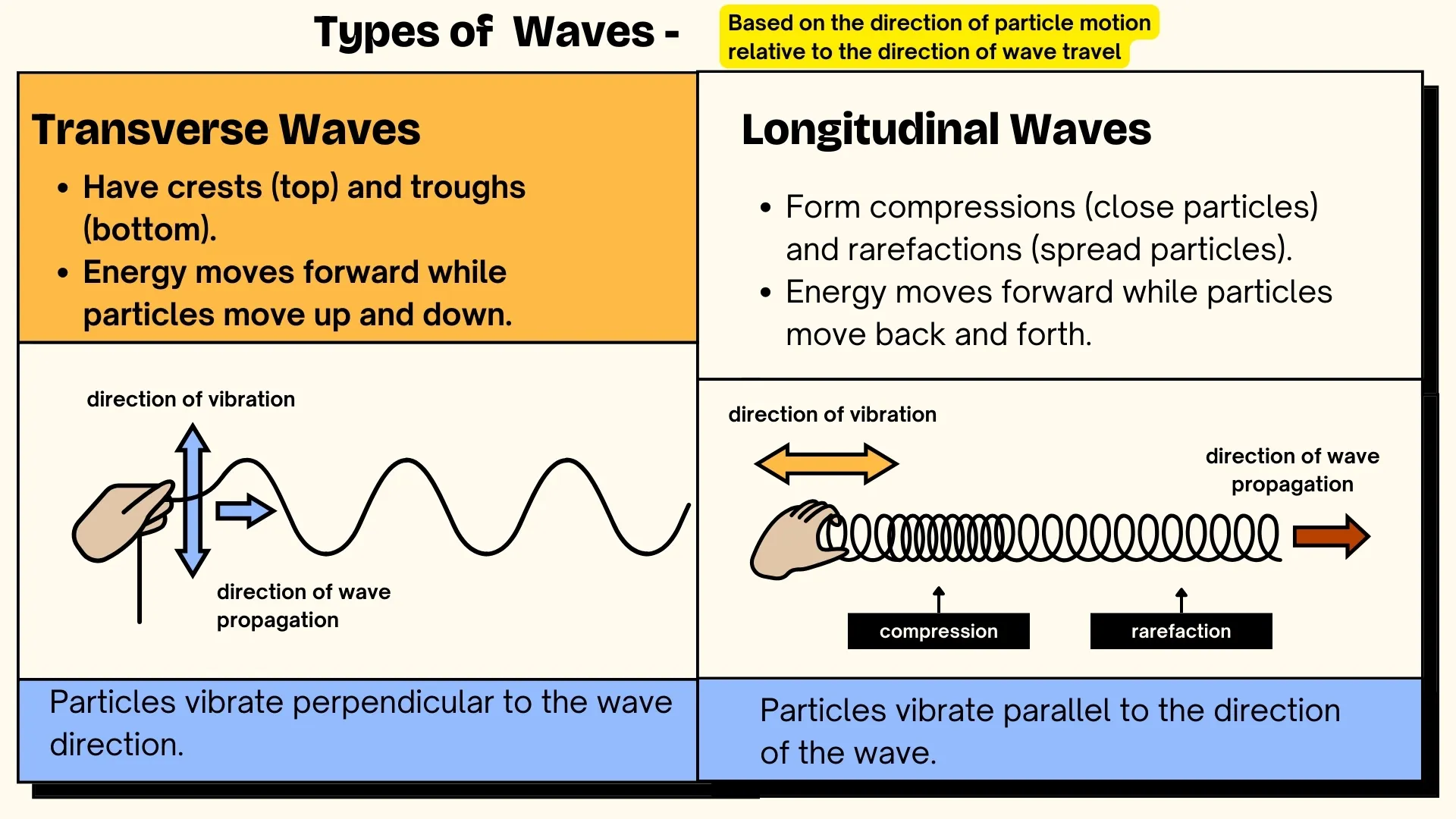 Transverse and Longitudinal Waves Comparison