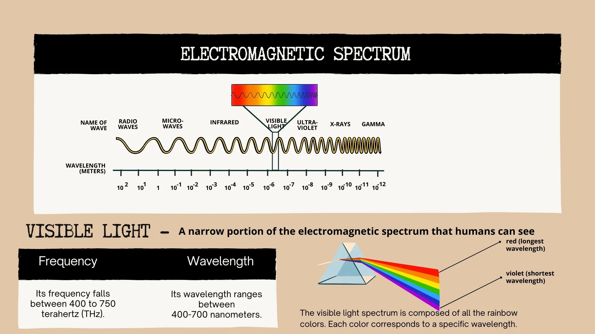 Electromagnetic Spectrum - Detailed Diagram