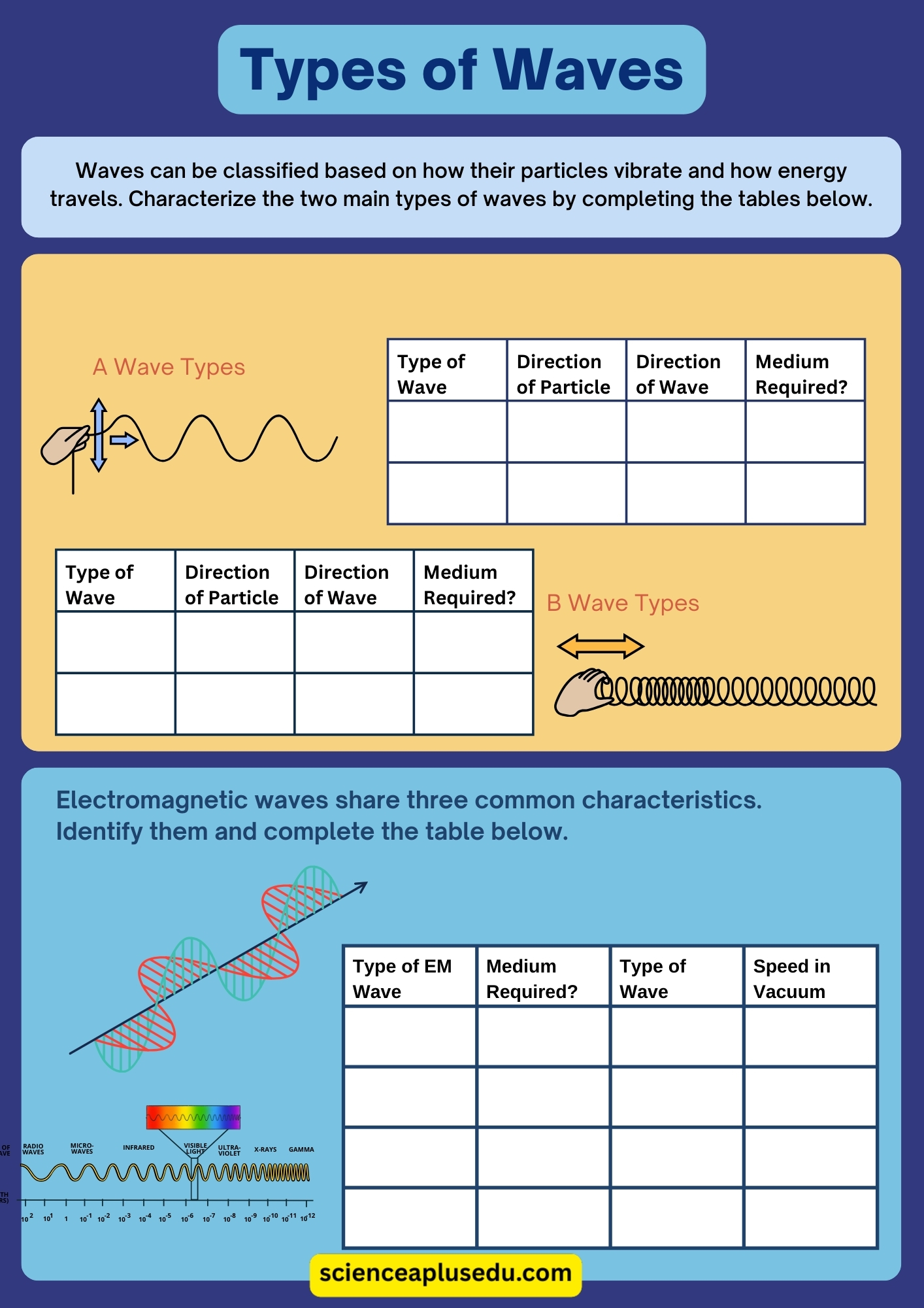 Types of Waves Worksheet