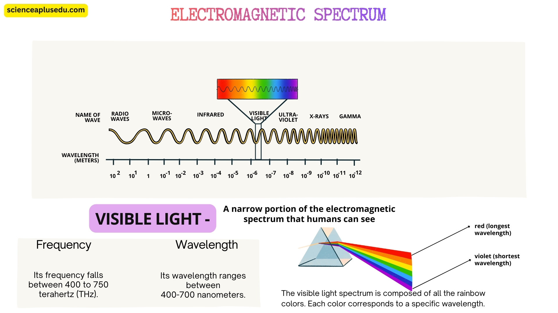 Visible Light in the Electromagnetic Spectrum showing wavelength and frequency details